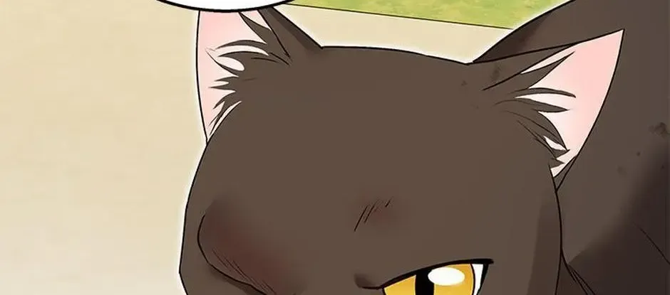Chapter 31 — page 11