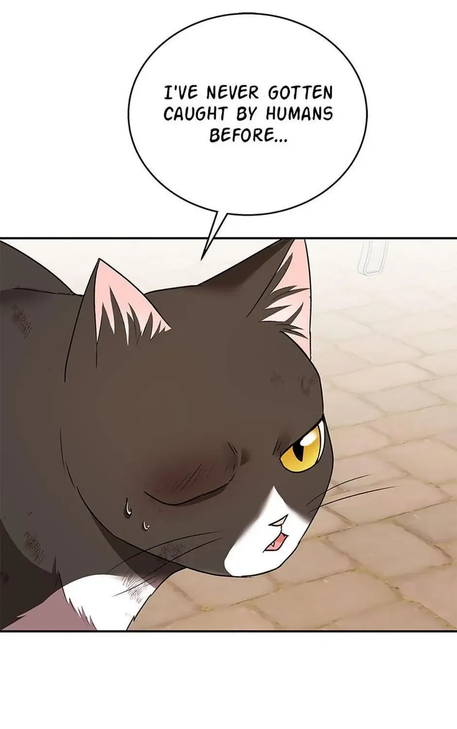 Chapter 31 — page 18
