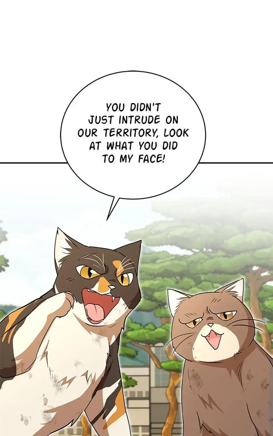 Chapter 31 — page 44