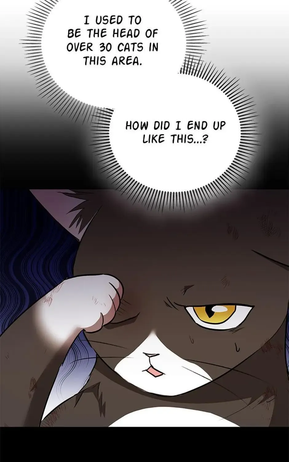 Chapter 31 — page 92