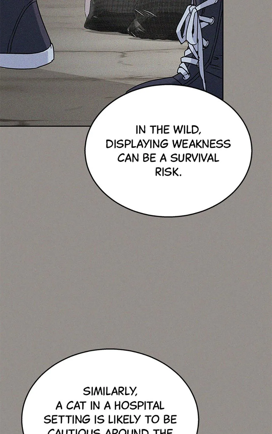 Chapter 66 — page 45