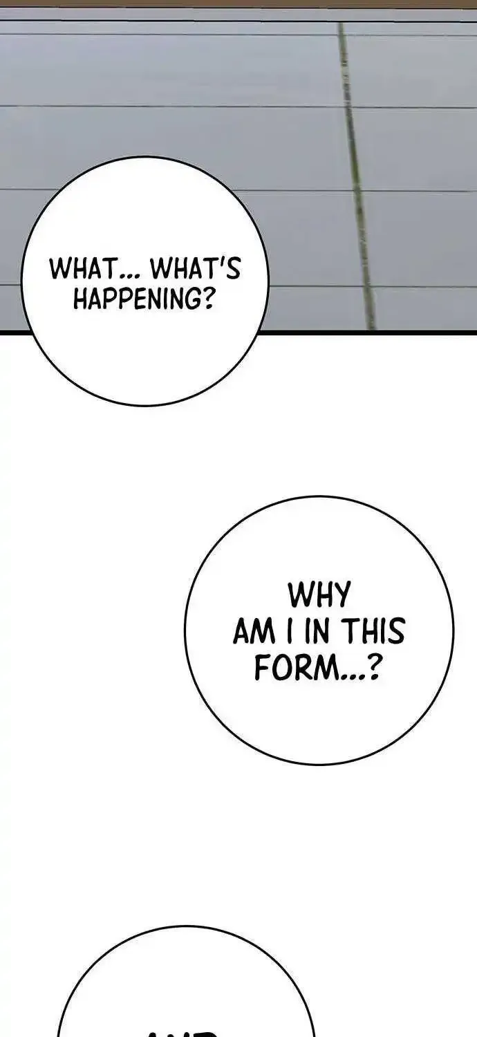 Chapter 2 — page 48