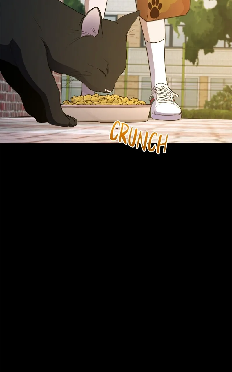 Chapter 90 — page 193