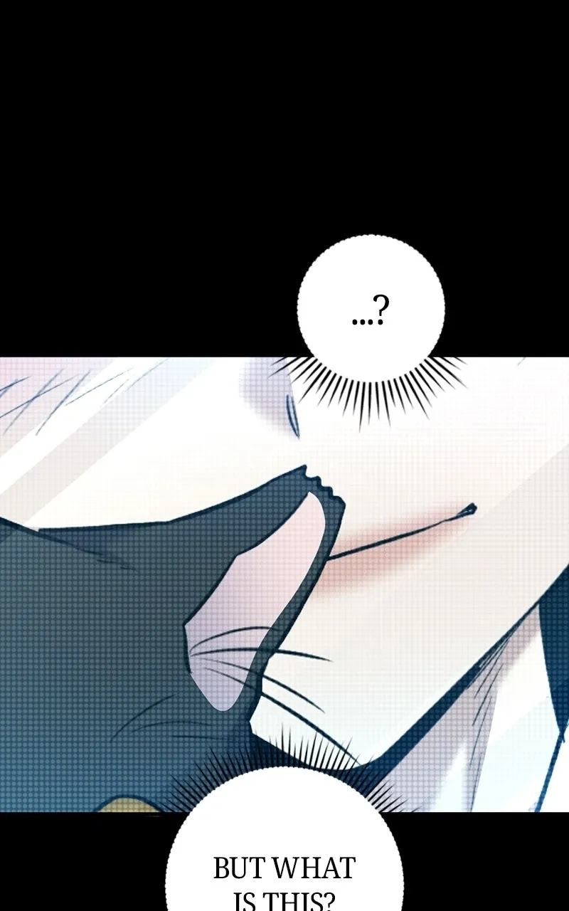 Chapter 91 — page 146