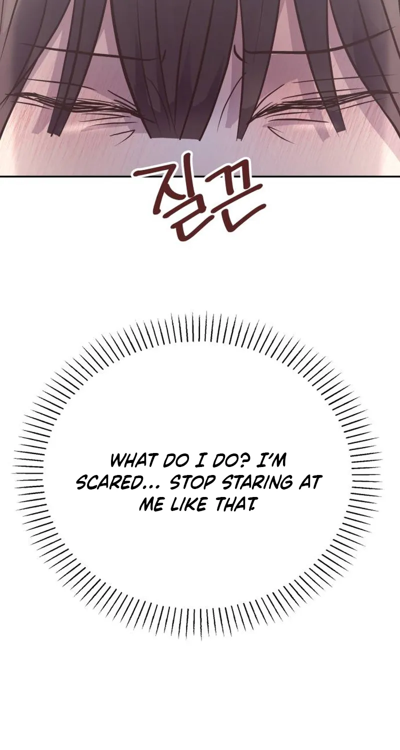 Chapter 1 — page 43