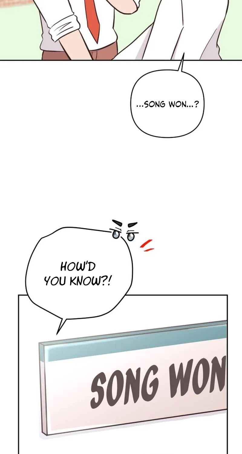 Chapter 2 — page 24