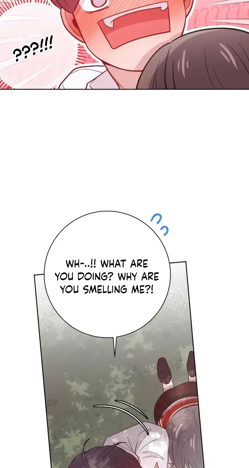 Chapter 23 — page 67