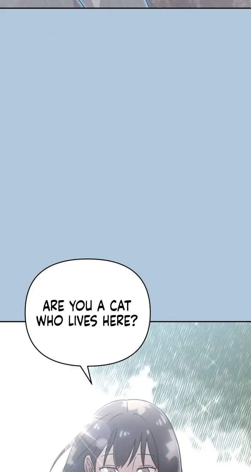 Chapter 4 — page 38