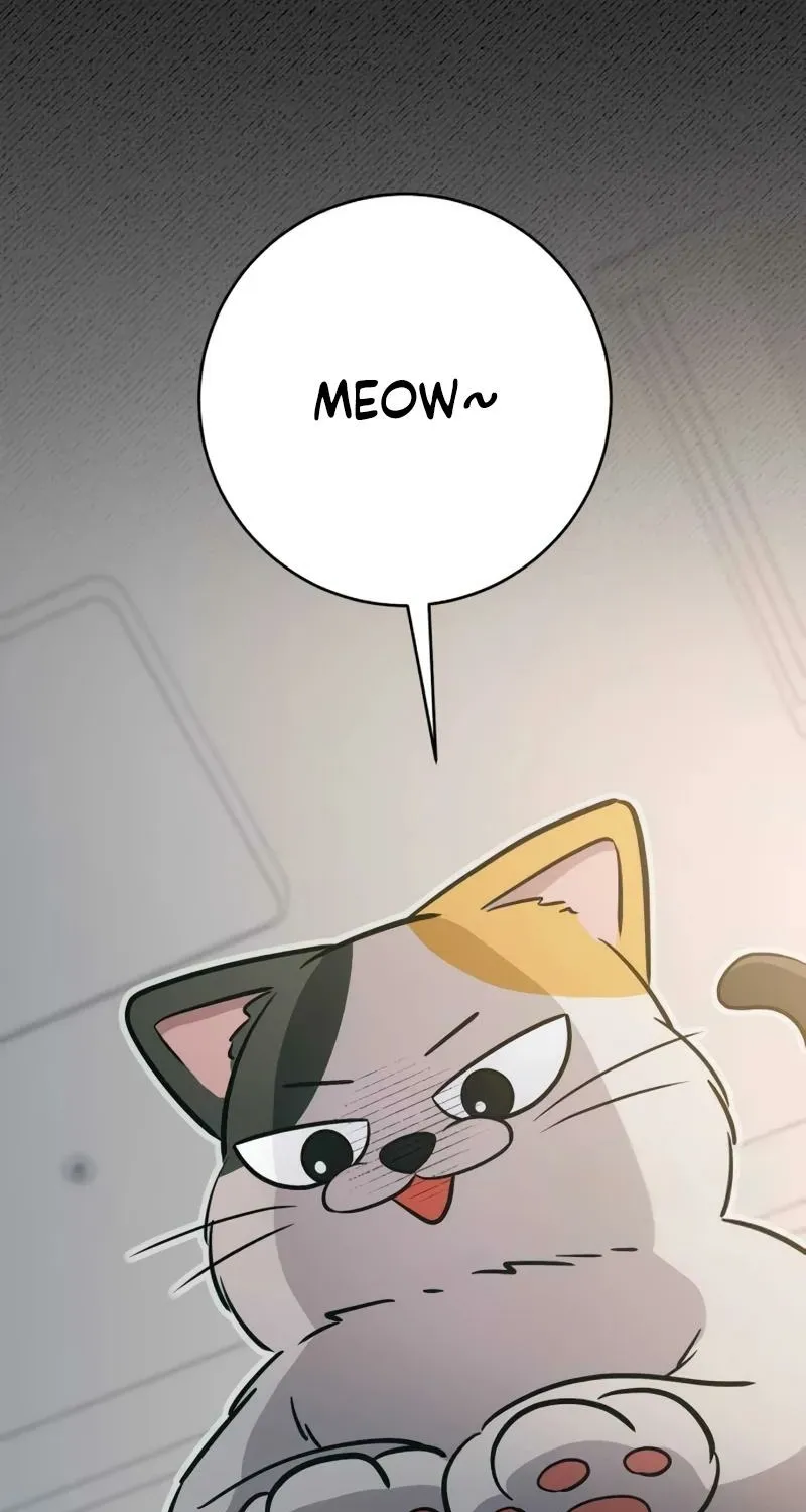 Chapter 38 — page 17