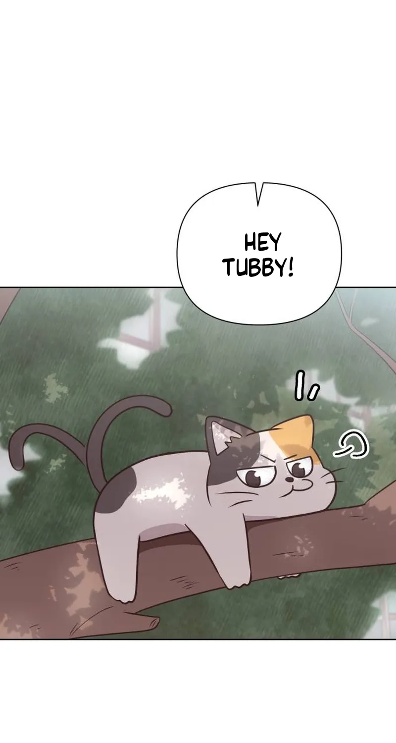 Chapter 5 — page 13