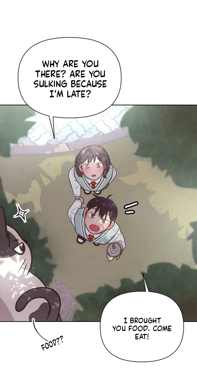 Chapter 5 — page 14