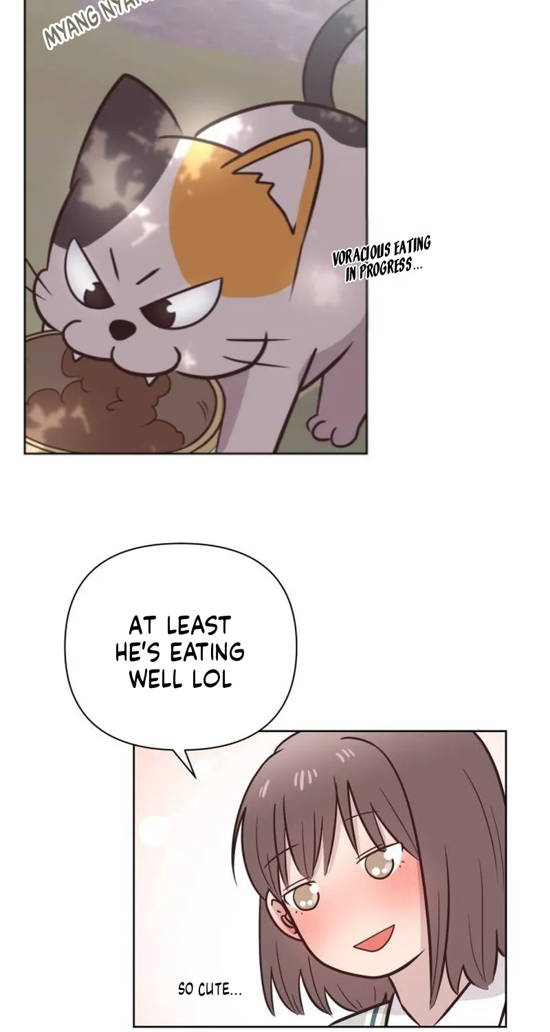 Chapter 5 — page 20