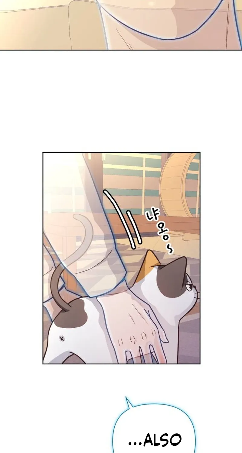 Chapter 5 — page 79