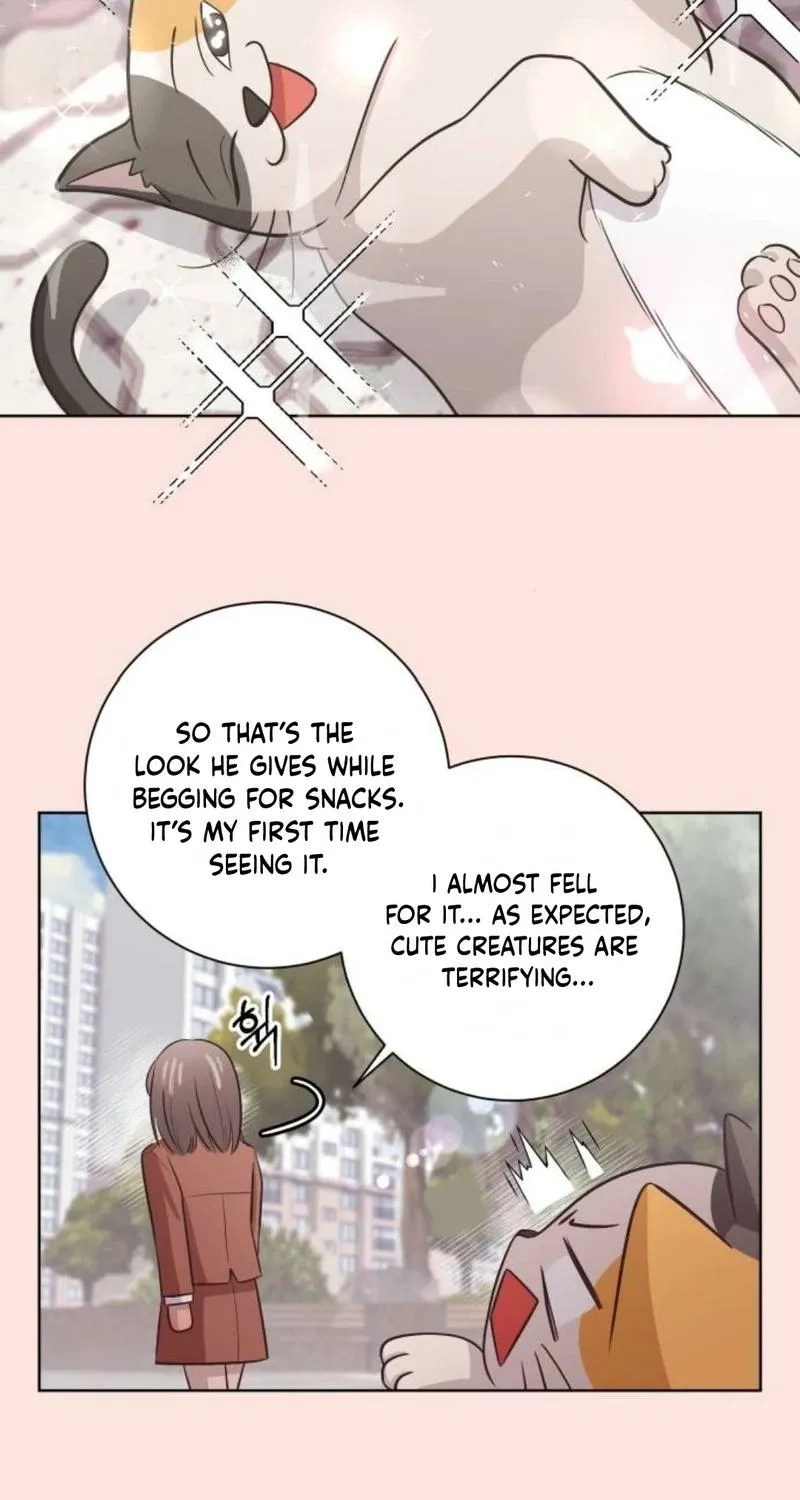 Chapter 48 — page 34