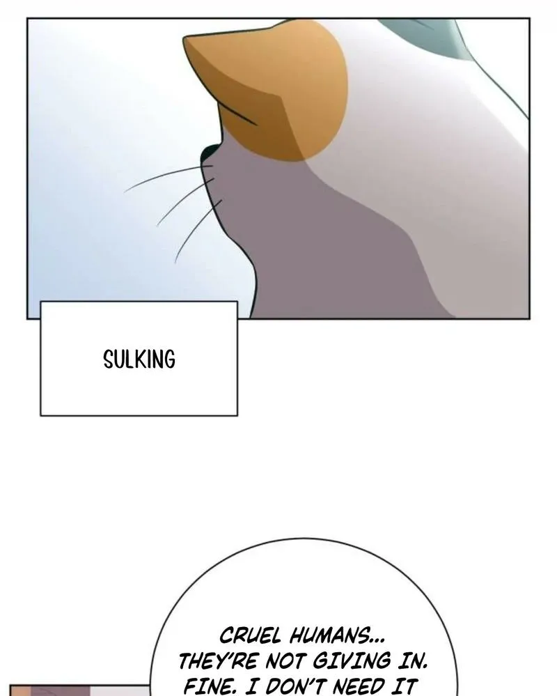 Chapter 48 — page 41