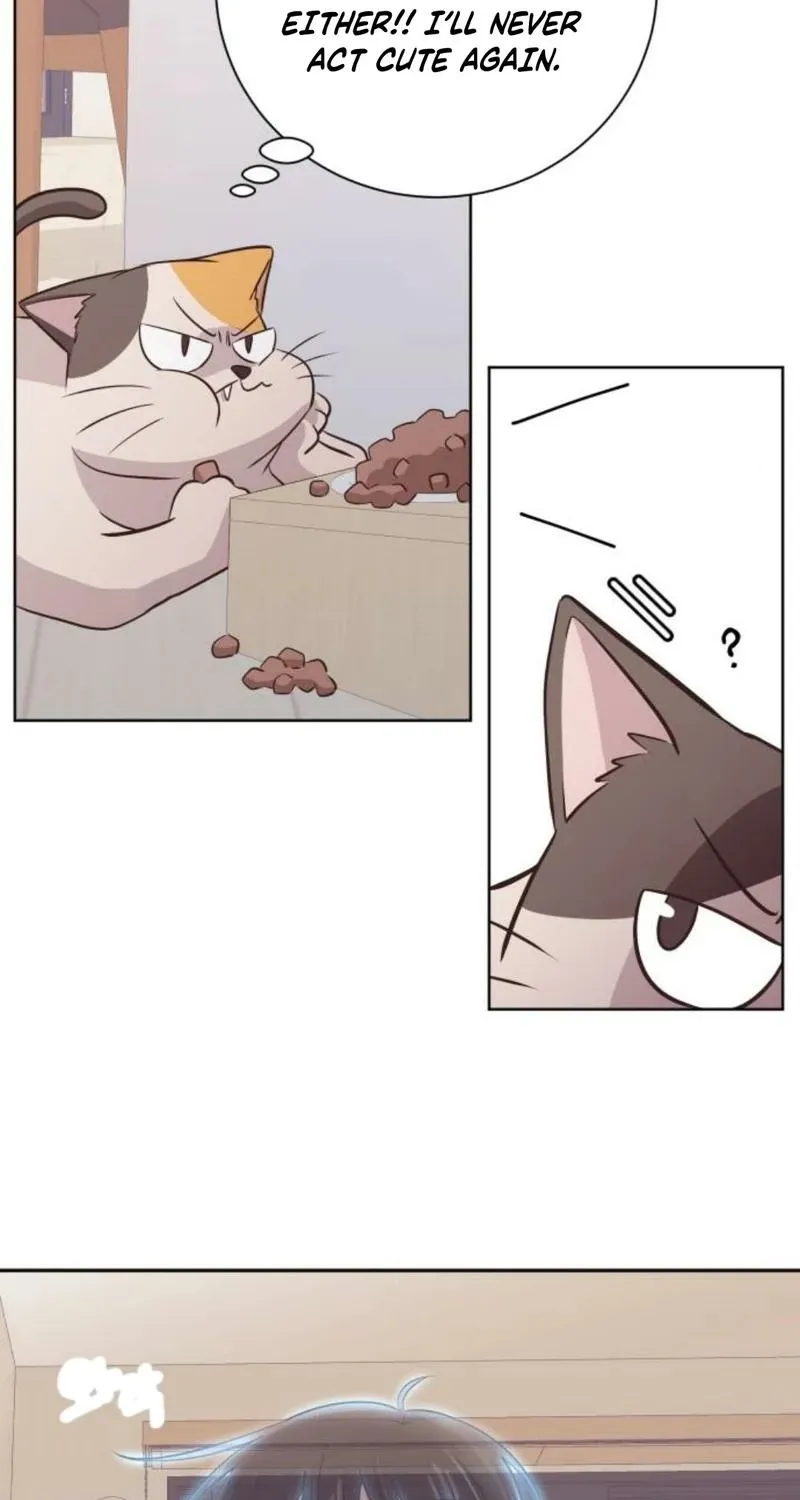 Chapter 48 — page 42