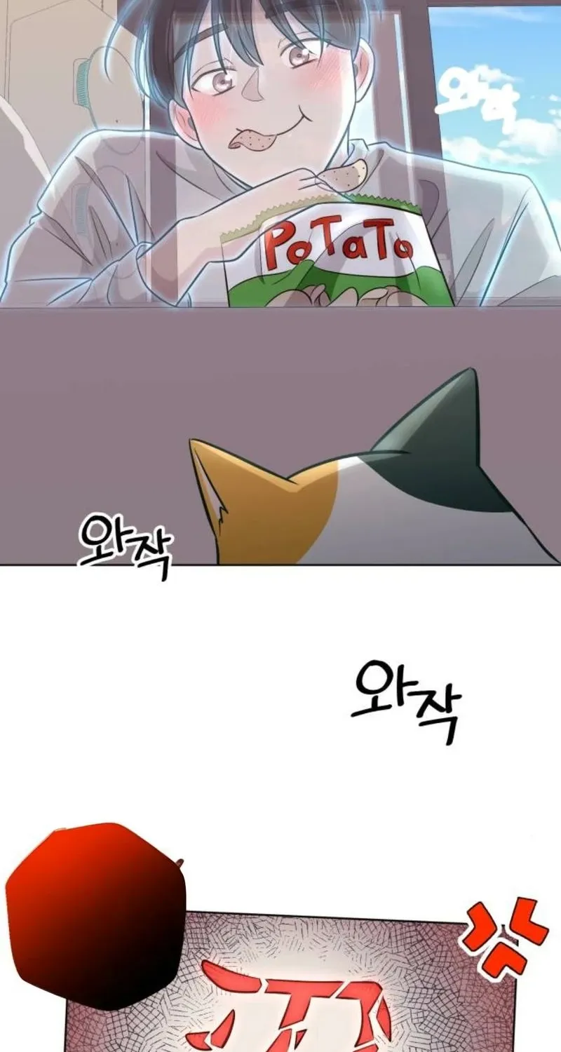 Chapter 48 — page 43