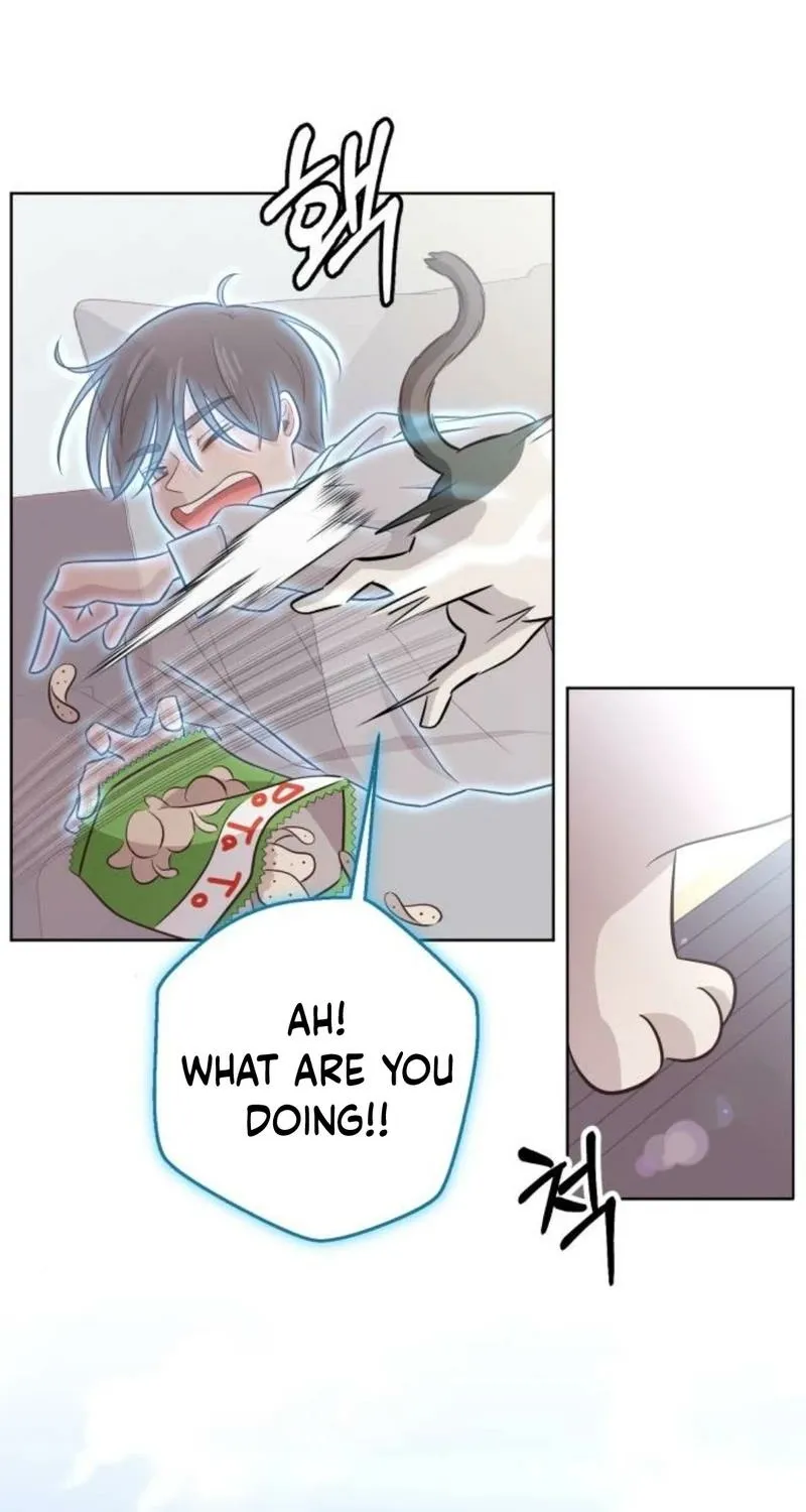 Chapter 48 — page 47