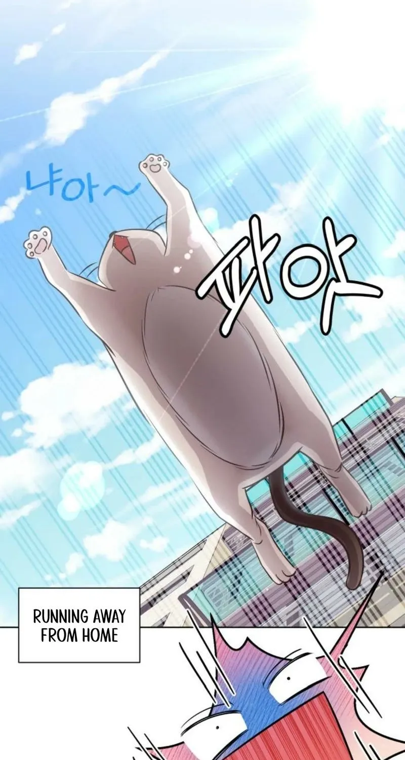 Chapter 48 — page 48