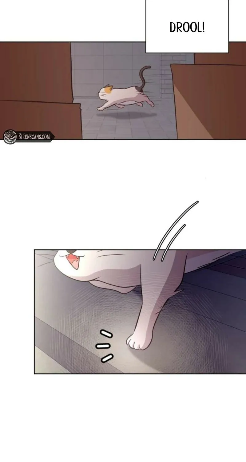 Chapter 48 — page 74