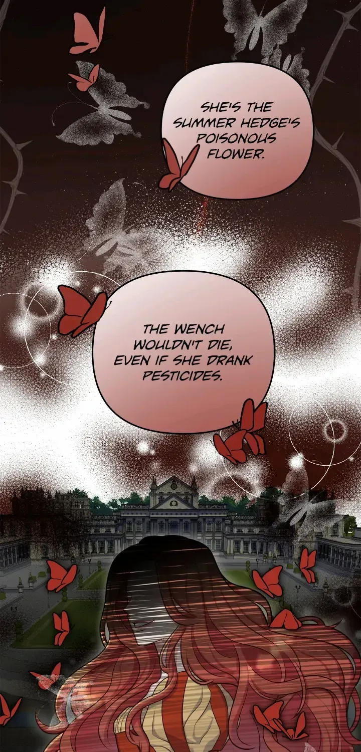 Chapter 2 — page 58