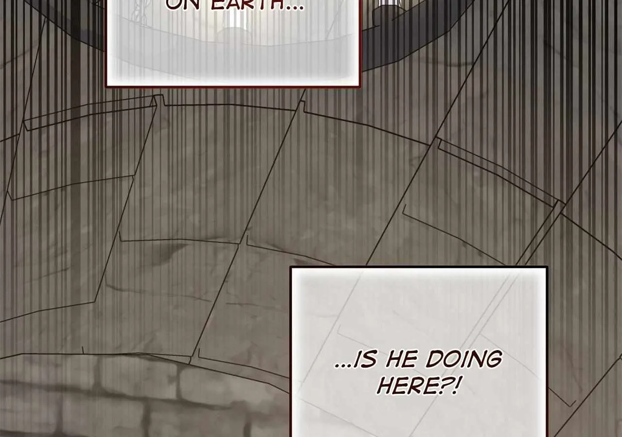 Chapter 24 — page 9