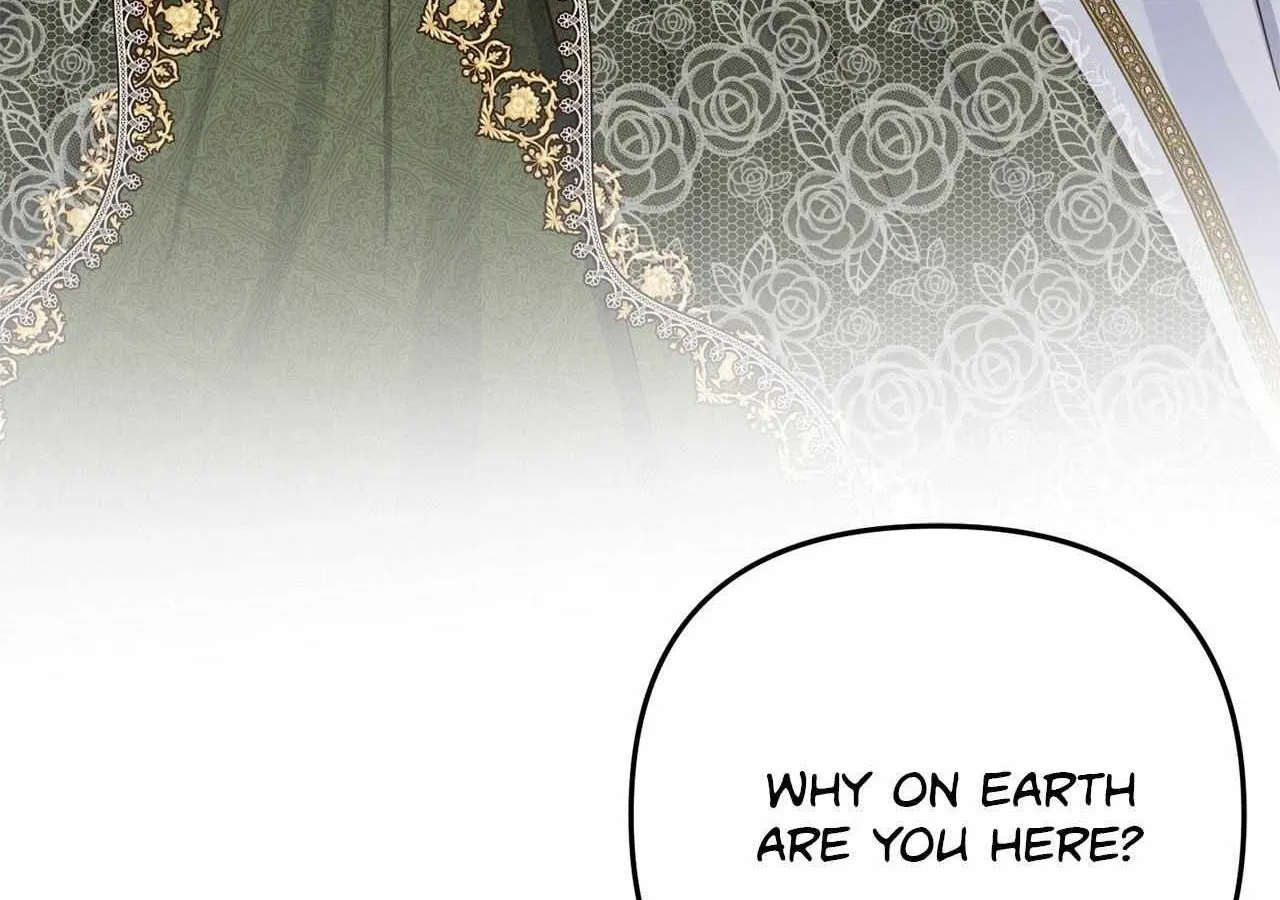 Chapter 28 — page 110