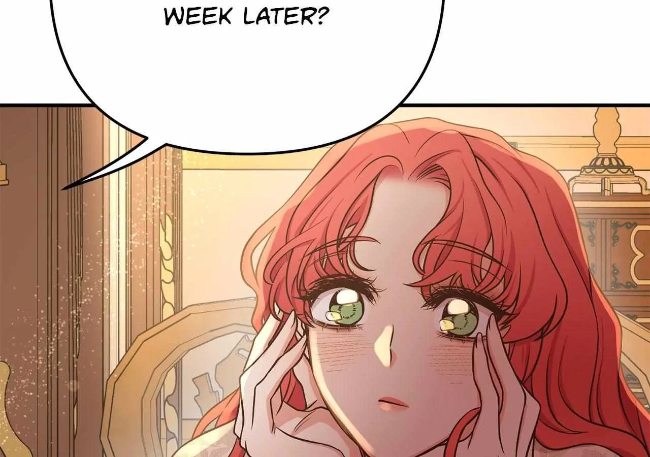 Chapter 28 — page 65