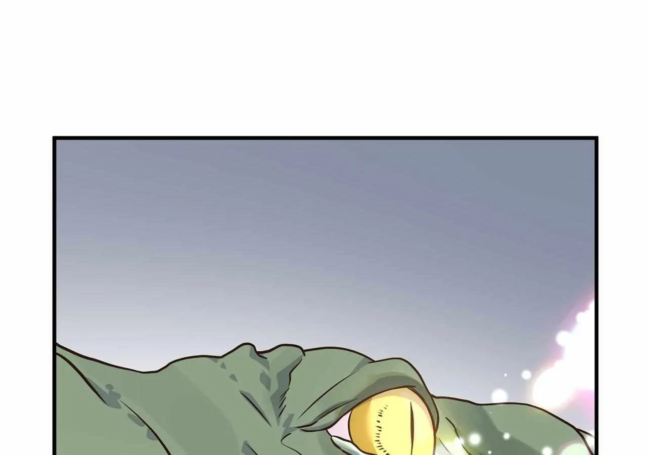 Chapter 29 — page 97