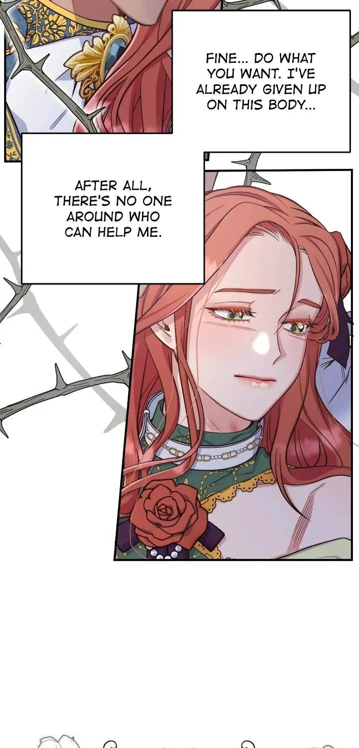 Chapter 5 — page 11