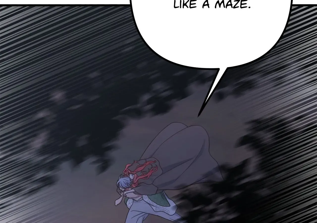 Chapter 41 — page 13