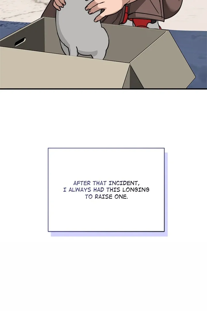 Chapter 40 — page 17