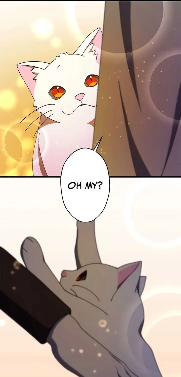 Chapter 27 — page 38