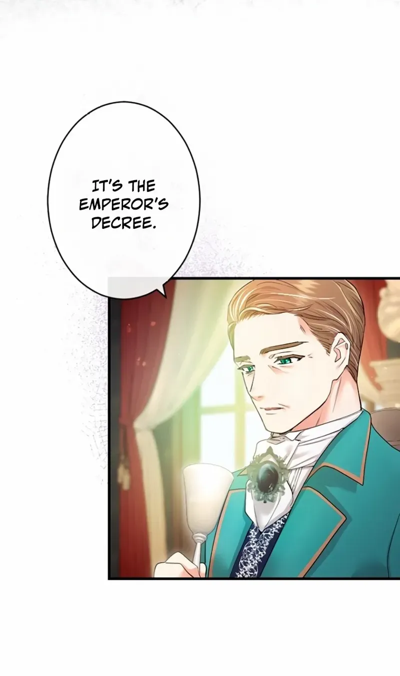 Chapter 1 — page 31