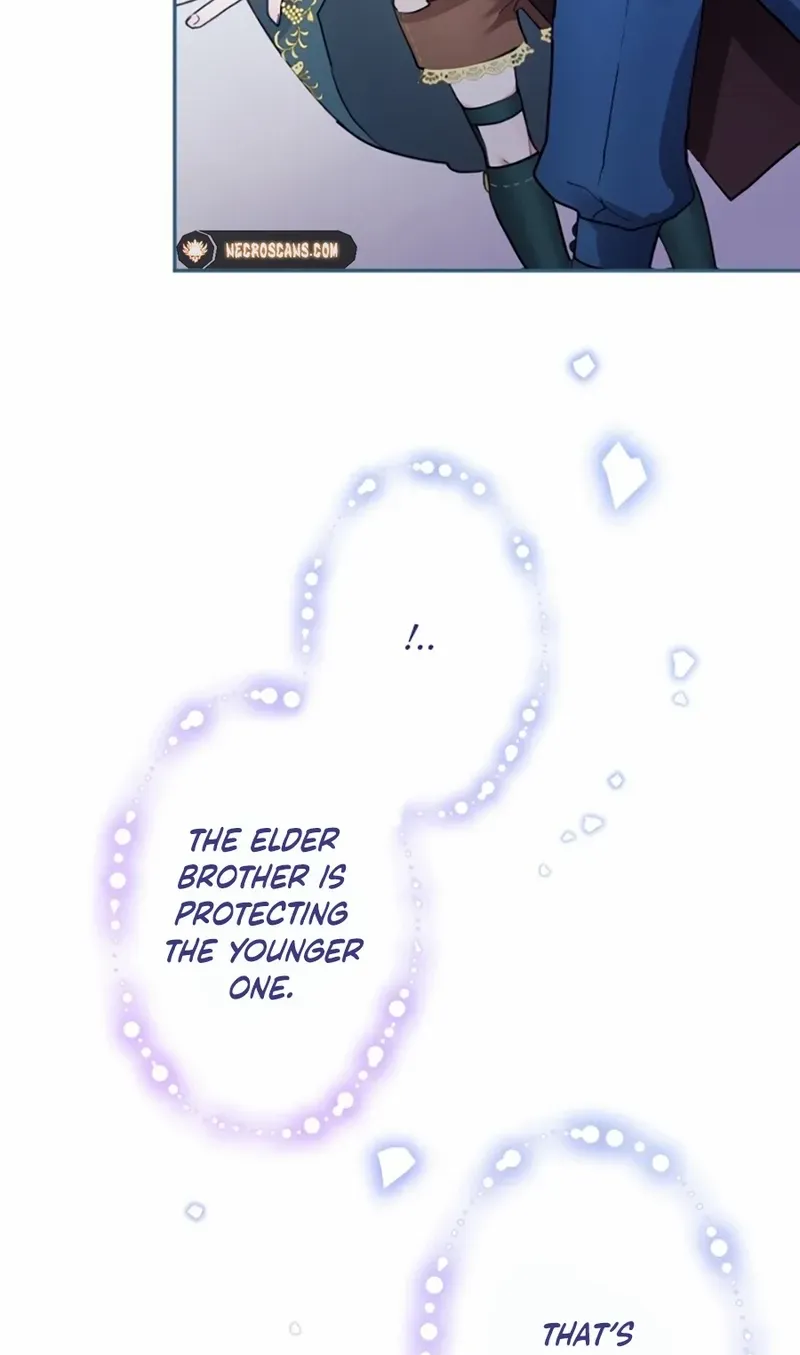 Chapter 2 — page 24