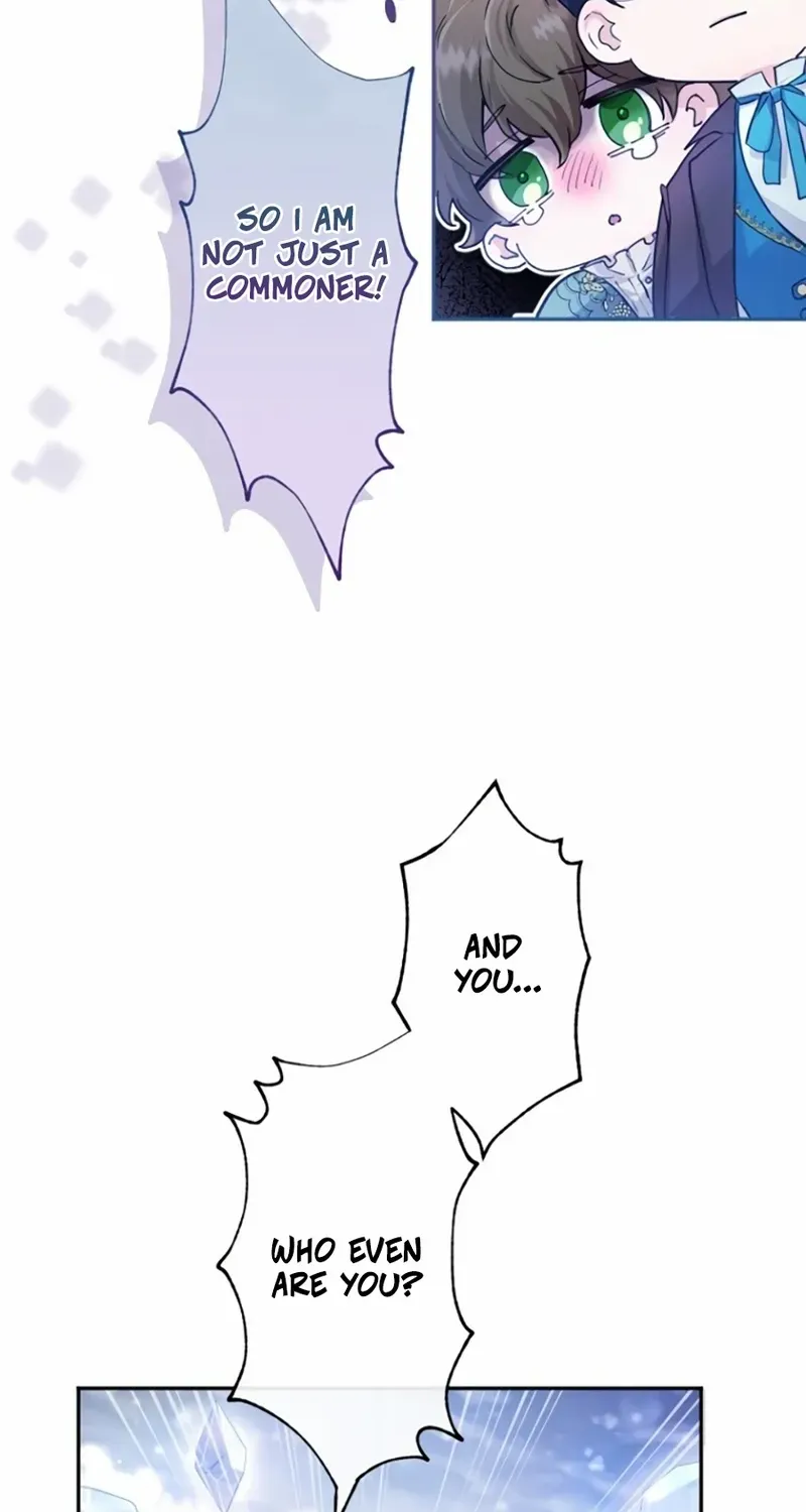 Chapter 2 — page 8