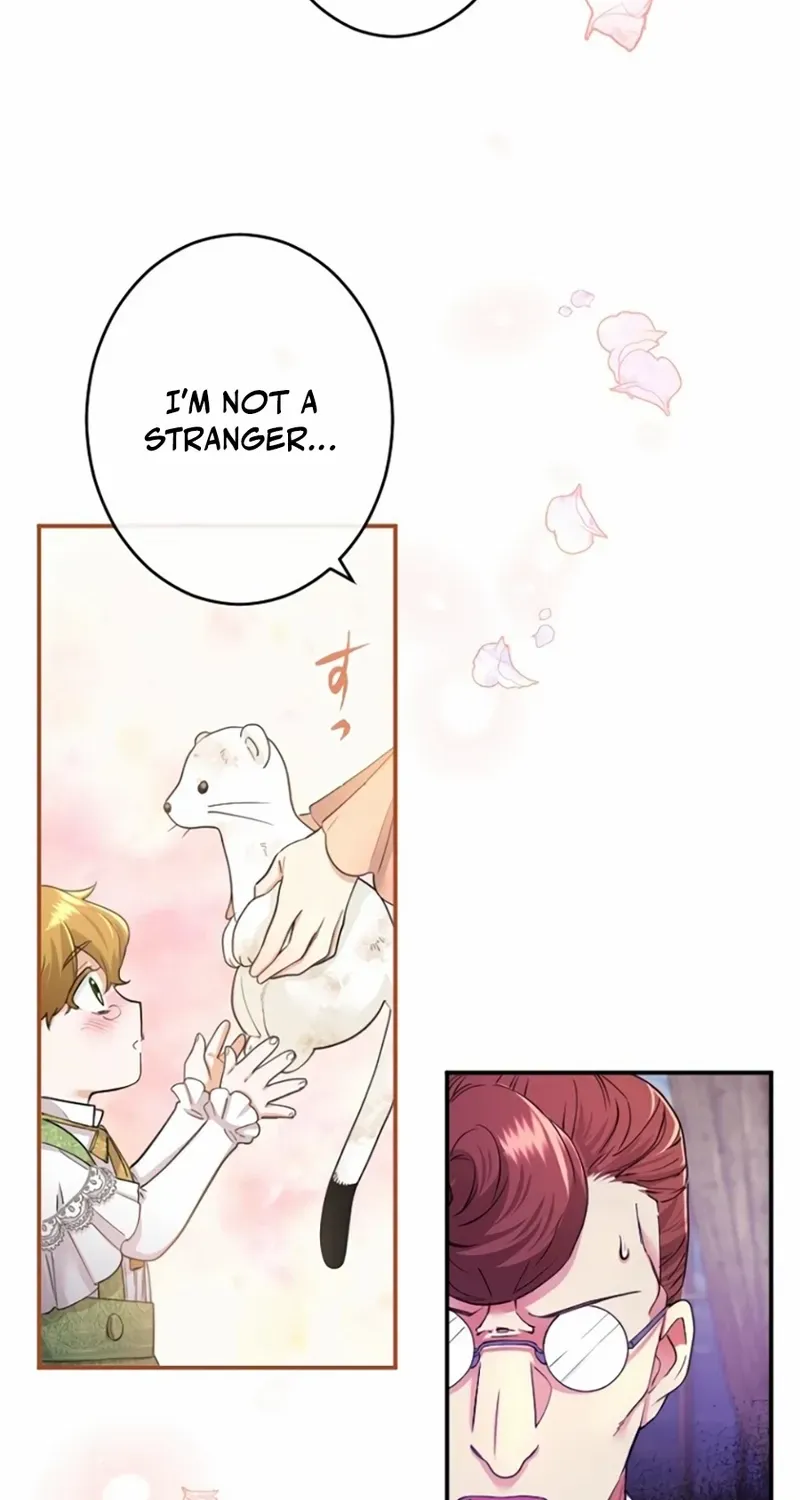 Chapter 3 — page 97