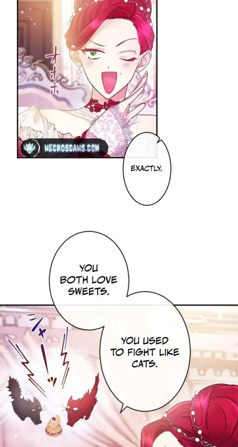 Chapter 24 — page 31