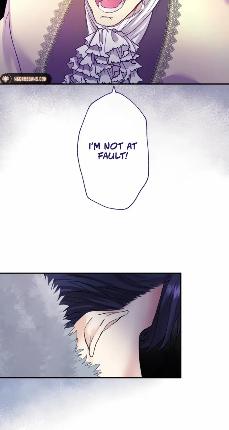Chapter 4 — page 49