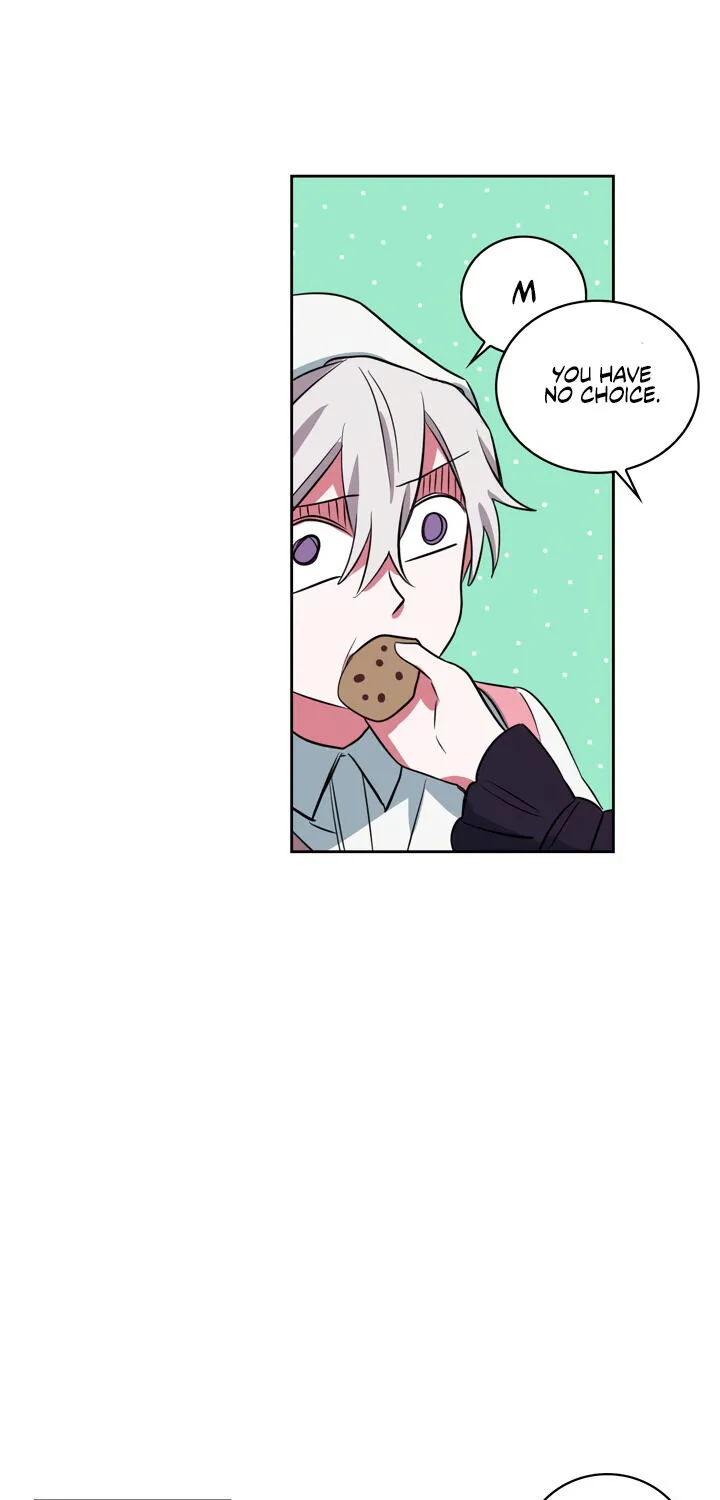 Chapter 4 — page 51