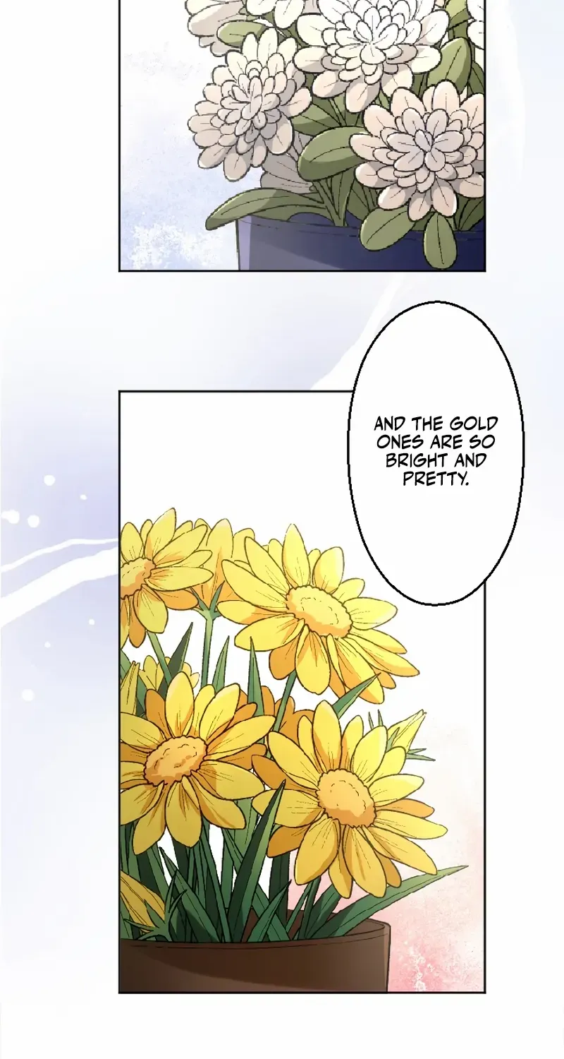 Chapter 14 — page 74