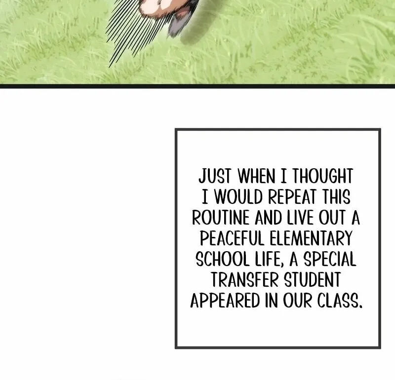 Chapter 2 — page 113