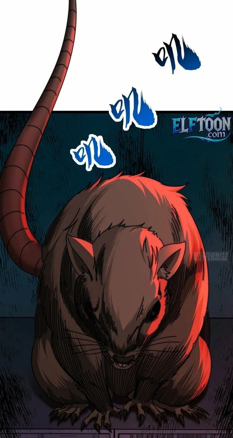 Chapter 8 — page 55