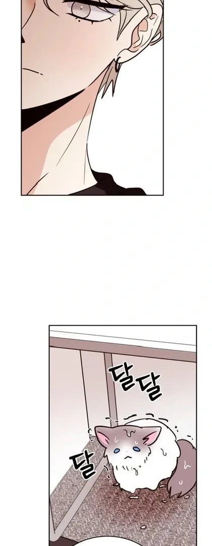 Chapter 26 — page 13