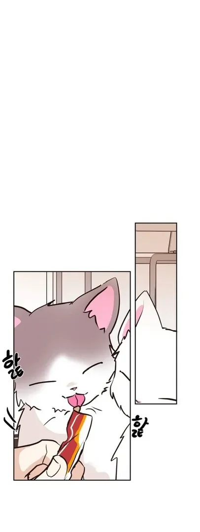 Chapter 26 — page 28