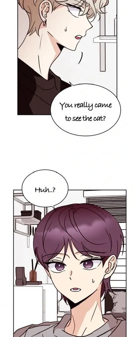 Chapter 26 — page 45