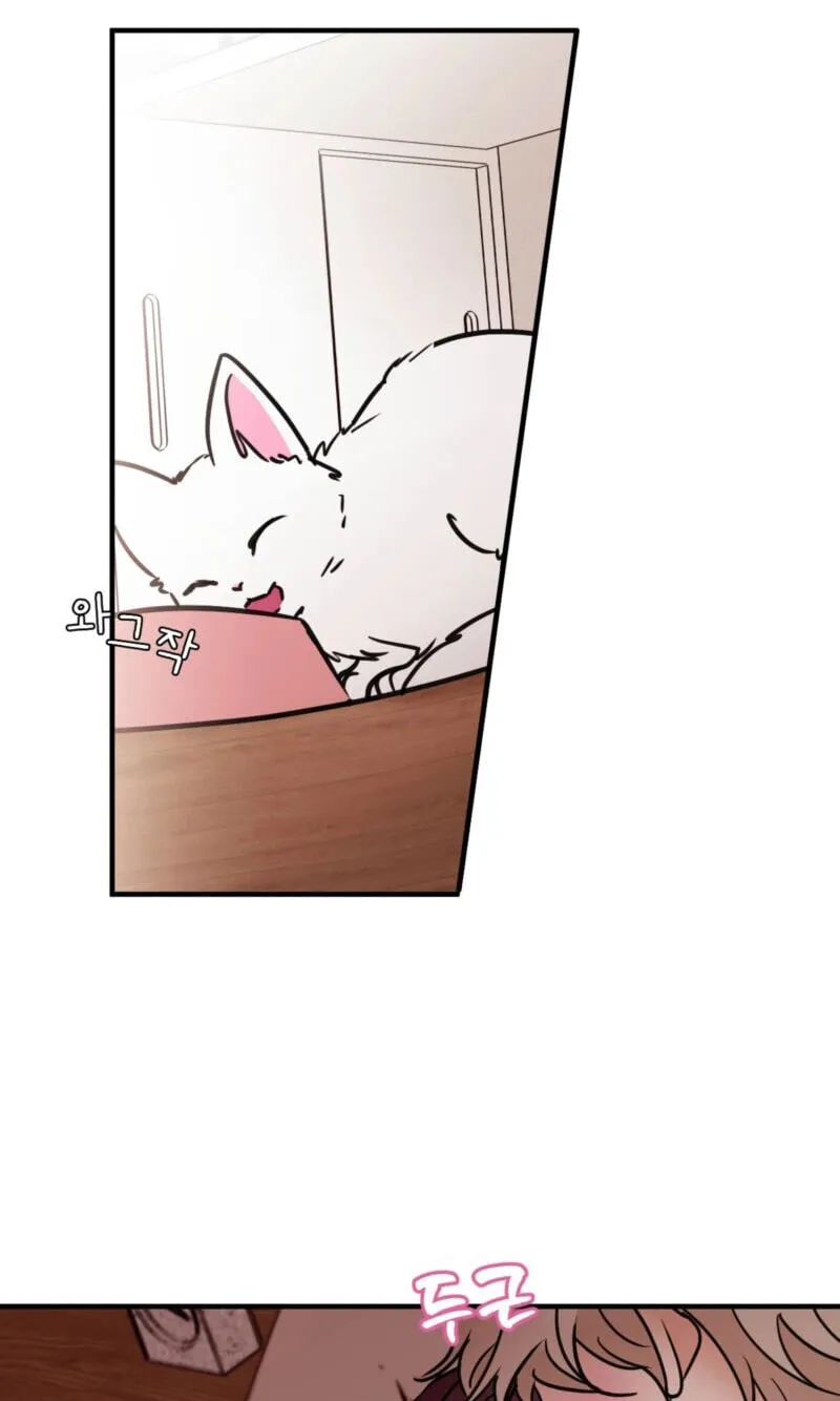 Chapter 70 — page 2