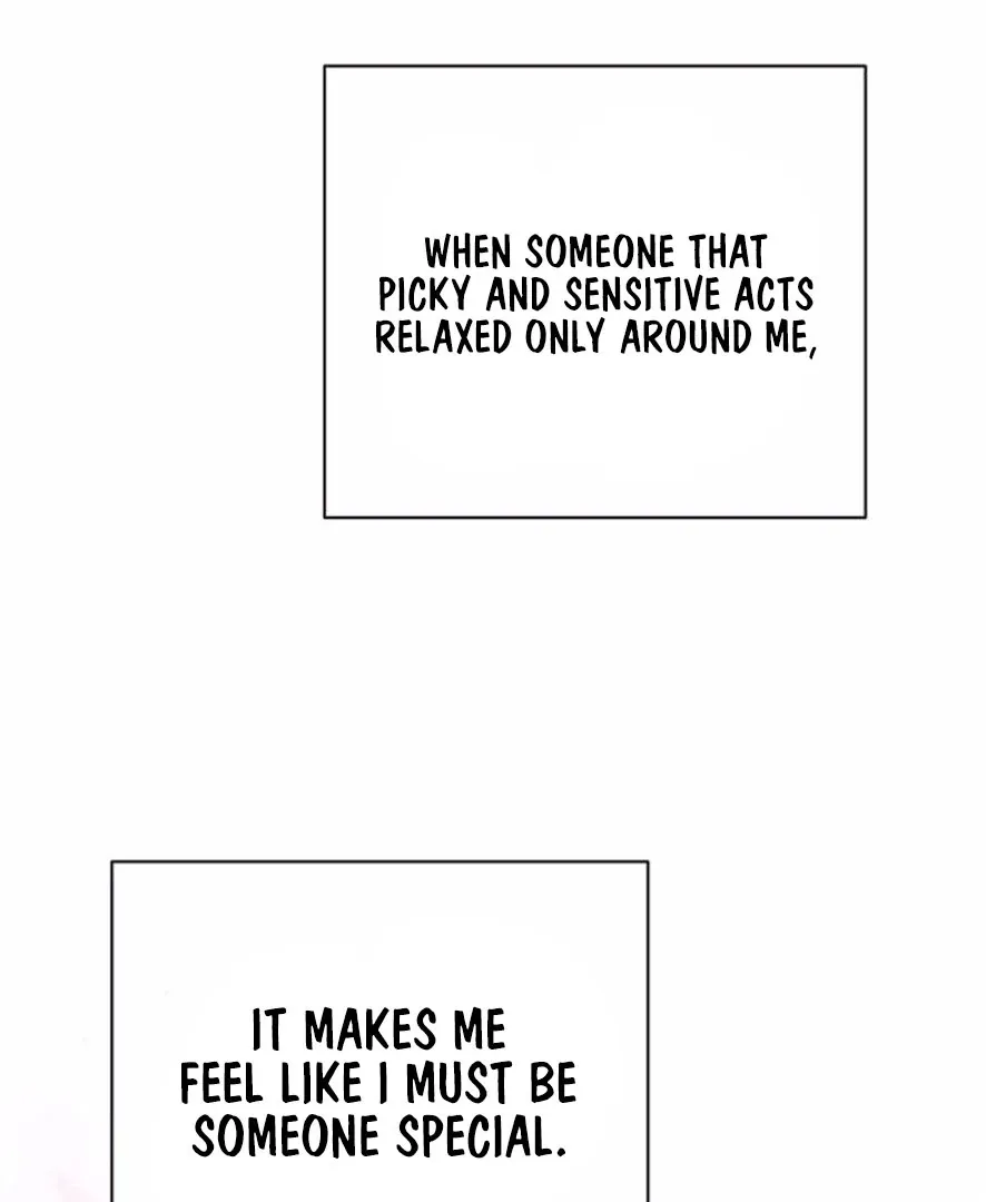Chapter 24 — page 71