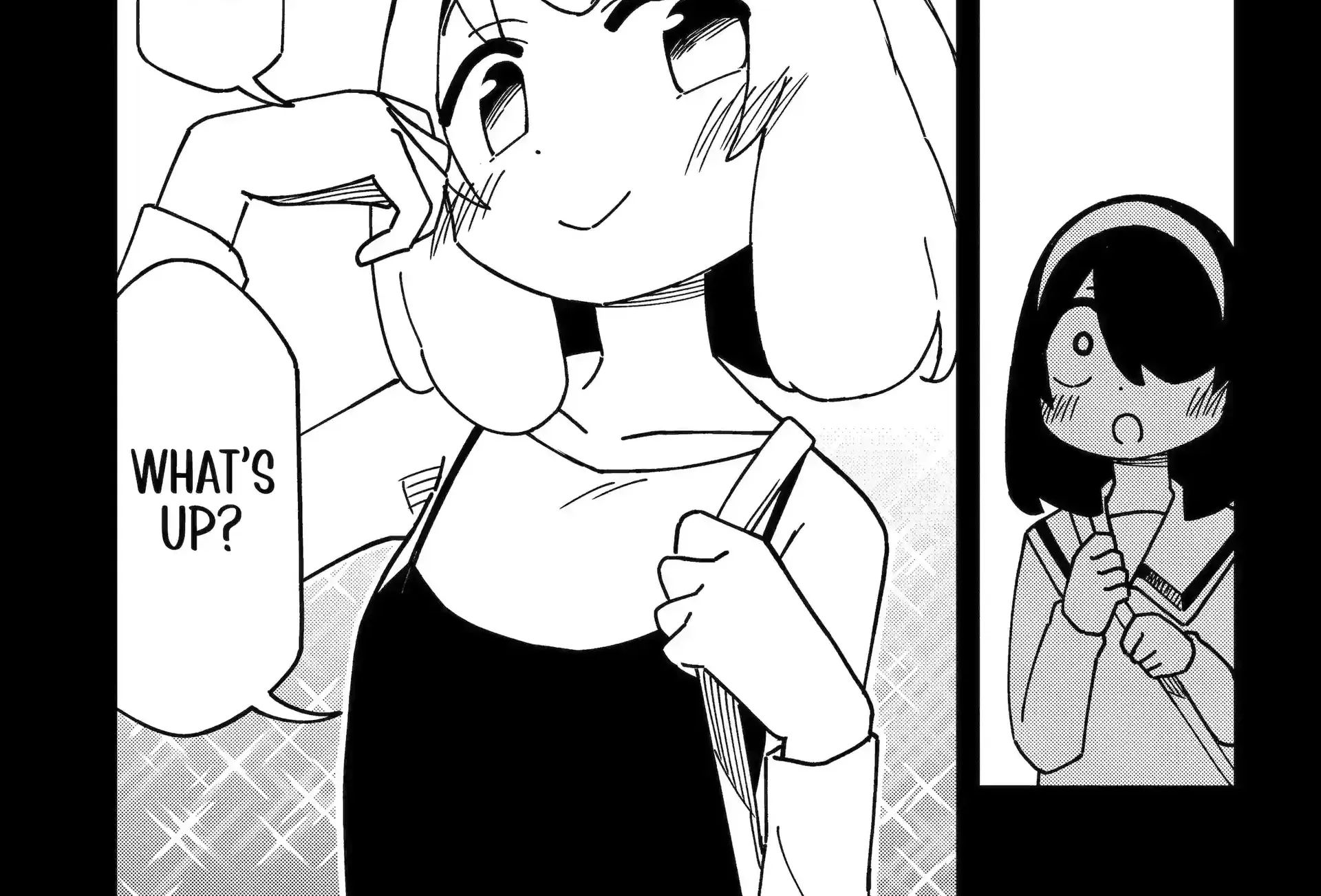 Chapter 155.2 — page 4