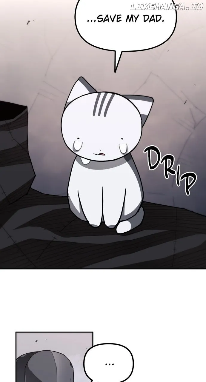Chapter 17 — page 13